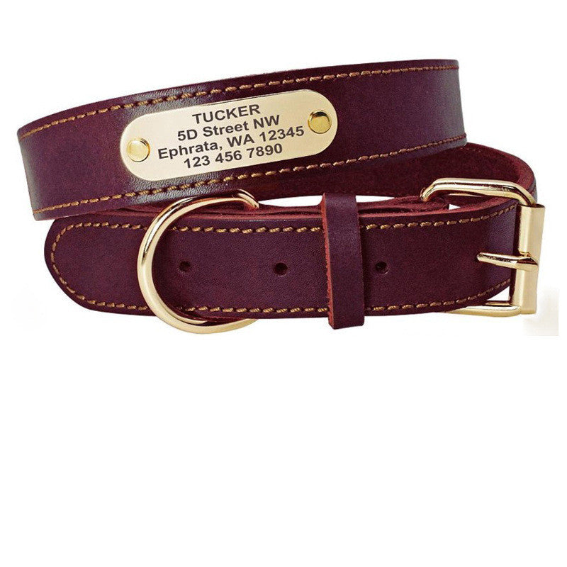 Personalized Dog Collars with Nameplate ID Tags for Medium and Large Dogs